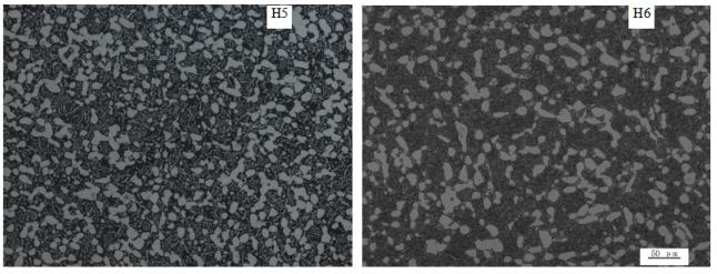 1713887823471672.jpg 360截圖16560310315926.jpg