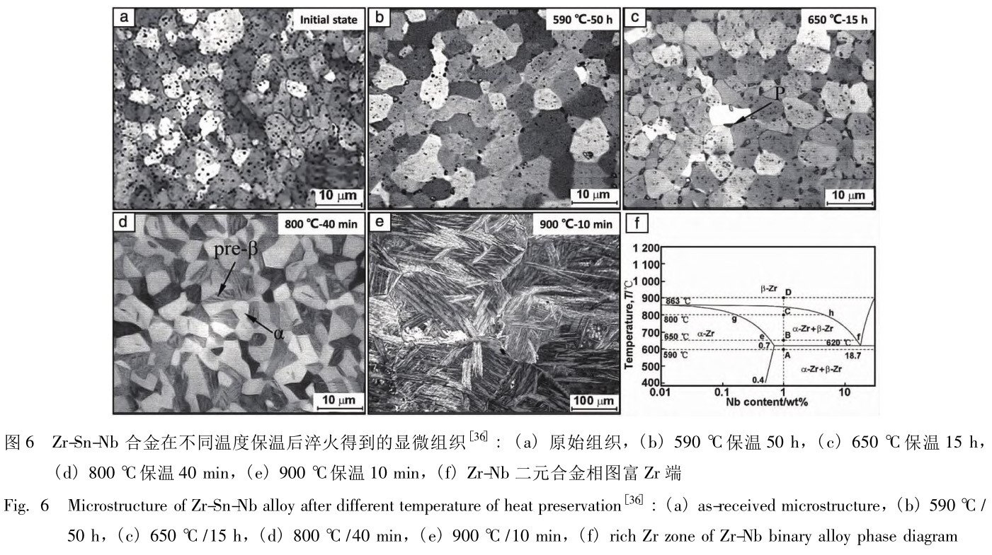 1729418737137956.jpg 6.jpg