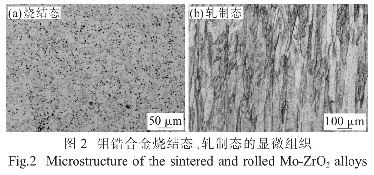 1729568165171381.jpg 2.jpg