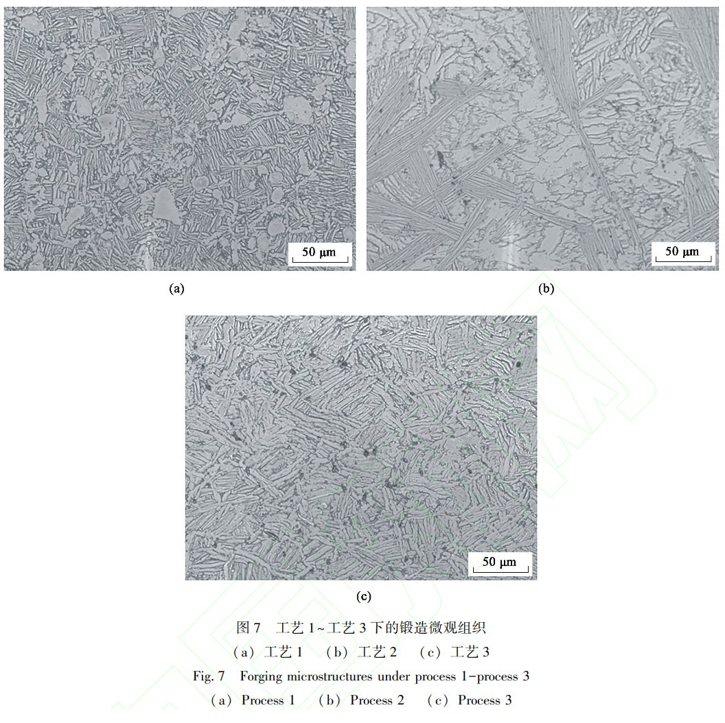 1738832783299890.jpg 7.jpg